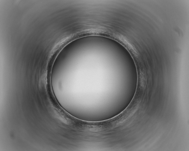 X0000115700486200911121407