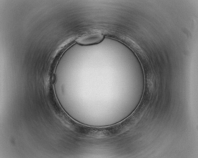 X0000115700488200911121407