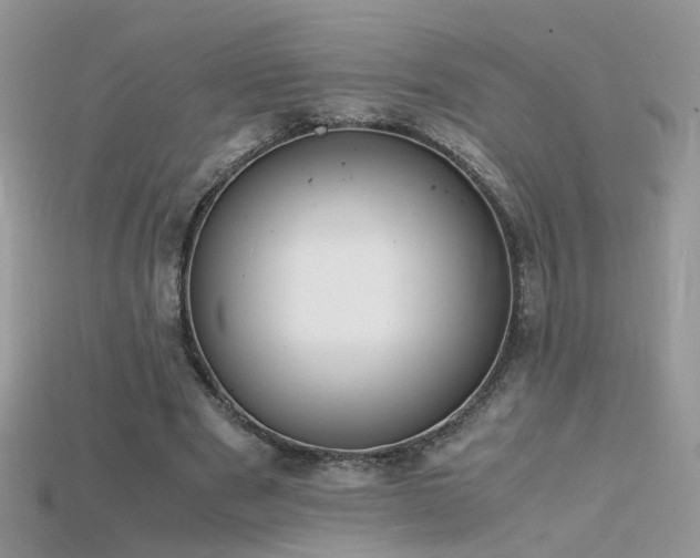 X0000115700489200911121407