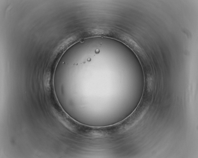 X0000115700490200911121407
