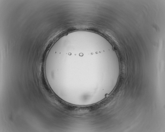 X0000115700491200911121407