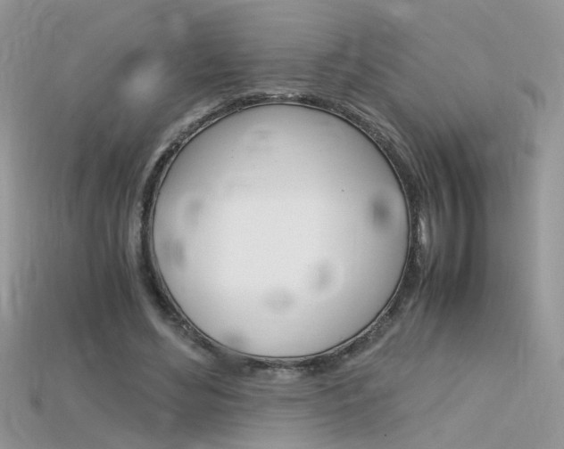 X0000115700492200911121407