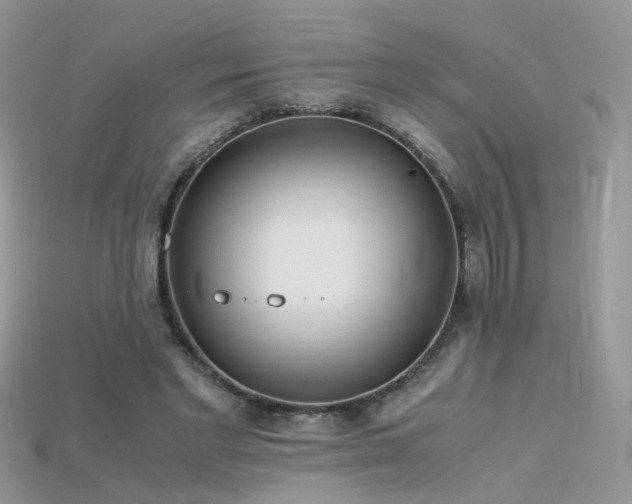 X0000115700493200911121407