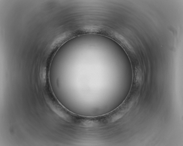 X0000115700494200911121407