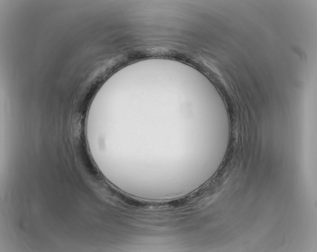 X0000115700495200911121407