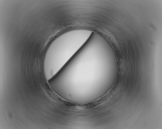X0000115700496200911121407