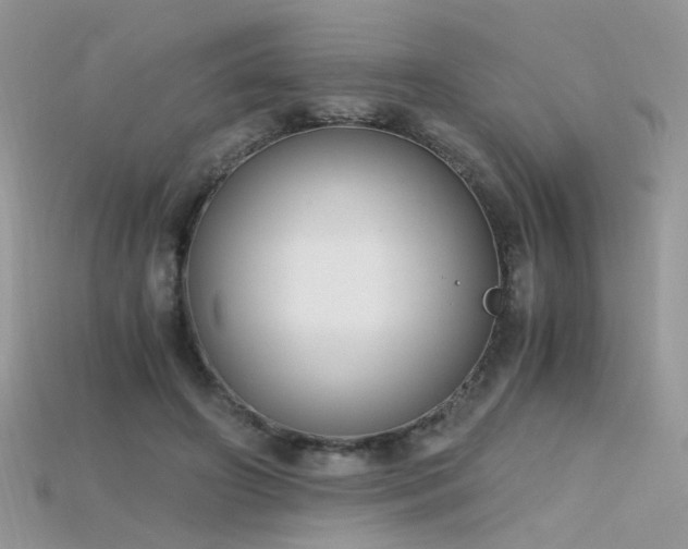 X0000115700498200911121407