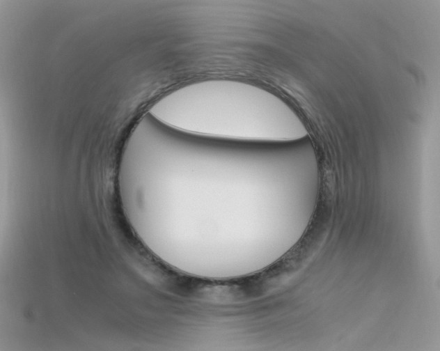 X0000115700499200911121407