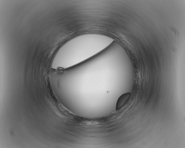 X0000115700500200911121407