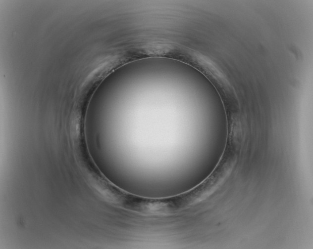 X0000115700501200911121407