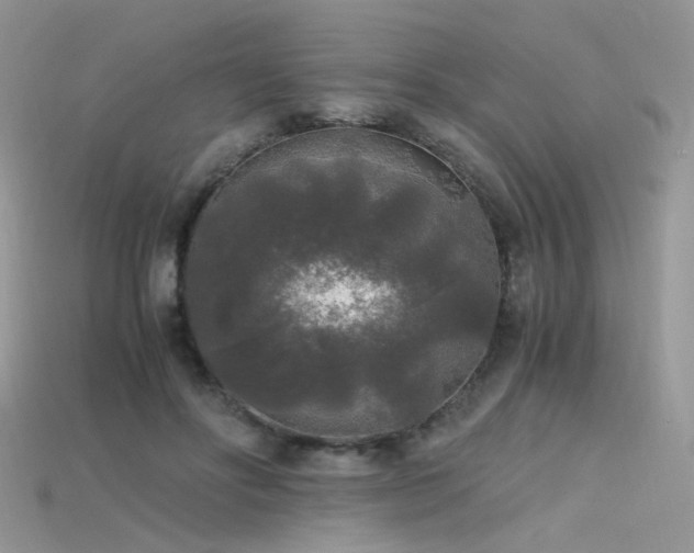 X0000115700502200911121407