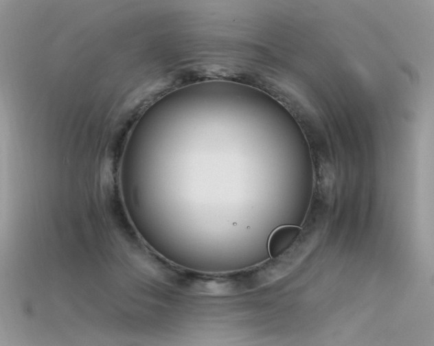 X0000115700506200911121407
