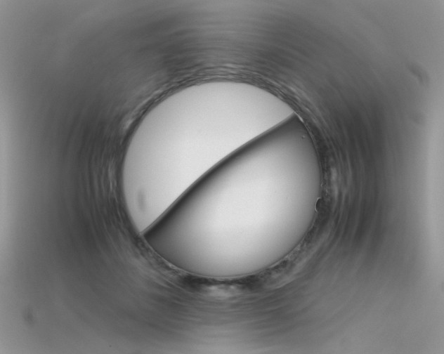 X0000115700508200911121407