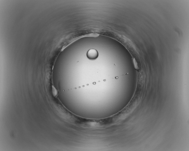 X0000115700509200911121407