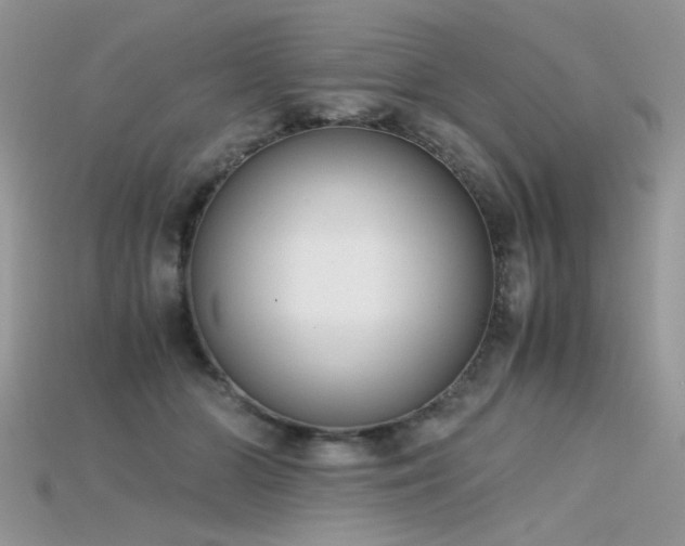 X0000115700510200911121407