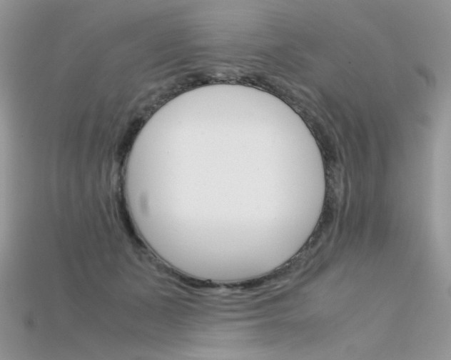 X0000115700511200911121407