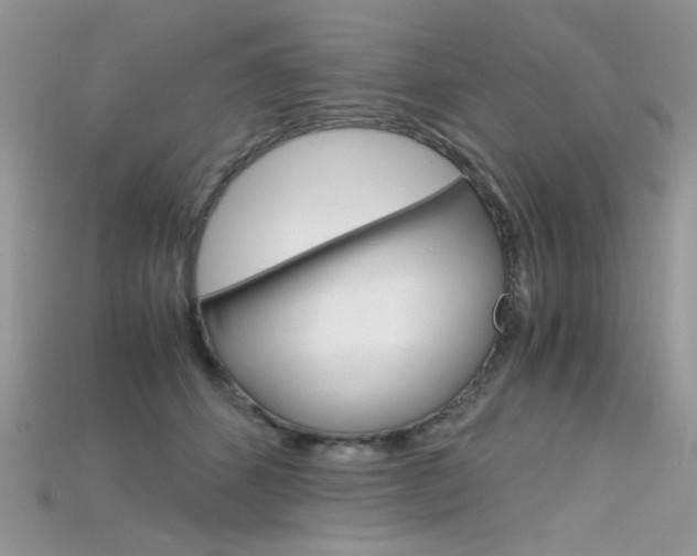 X0000115700512200911121407