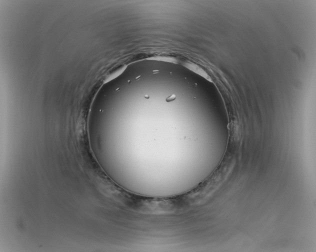 X0000115700517200911121407