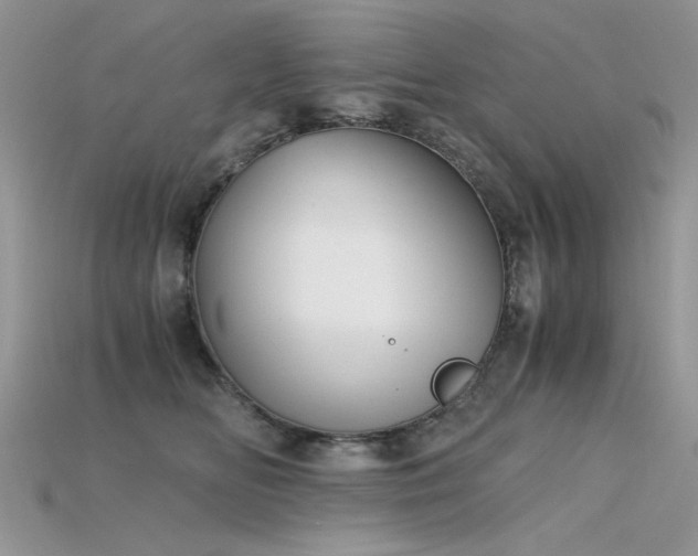 X0000115700518200911121407