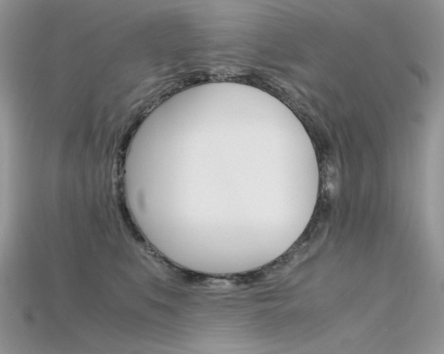 X0000115700519200911121407