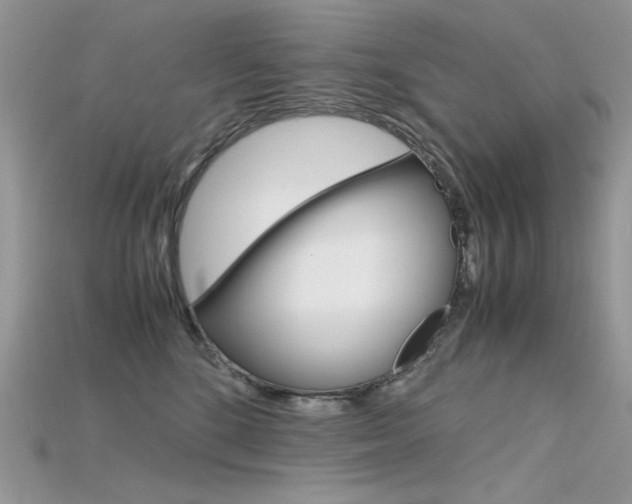 X0000115700520200911121407