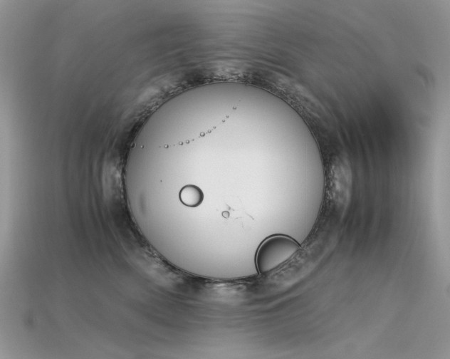 X0000115700522200911121407