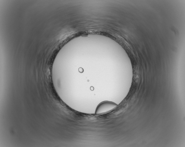 X0000115700523200911121407