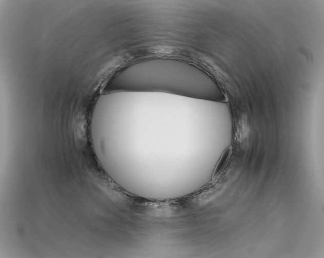 X0000115700524200911121407