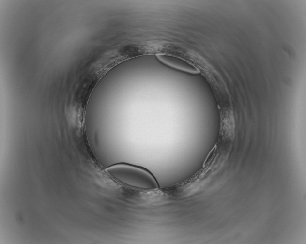 X0000115700525200911121407