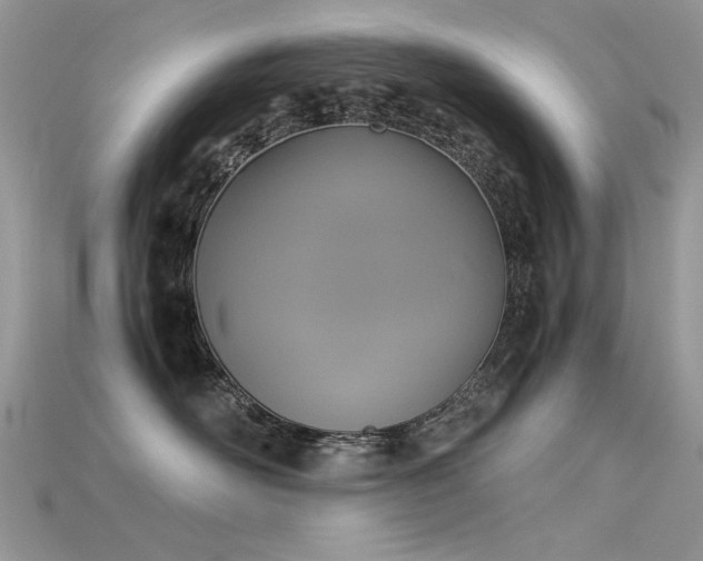 X0000115700526200911121407