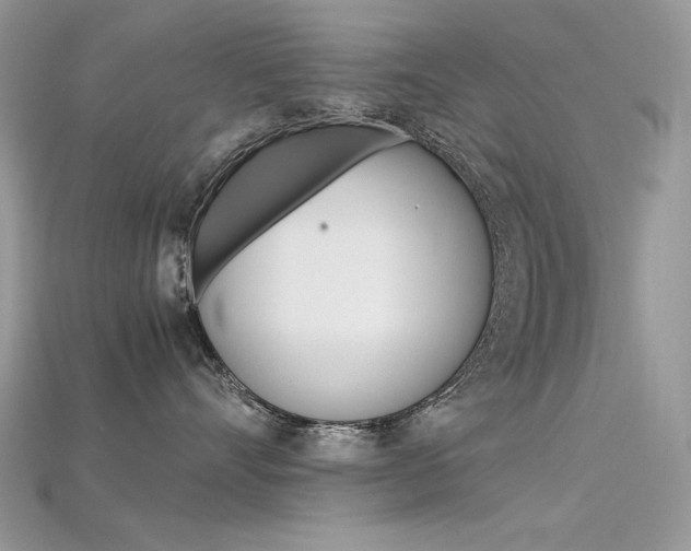 X0000115700528200911121407