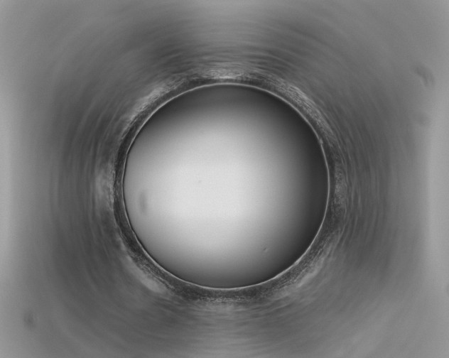 X0000115700530200911121406