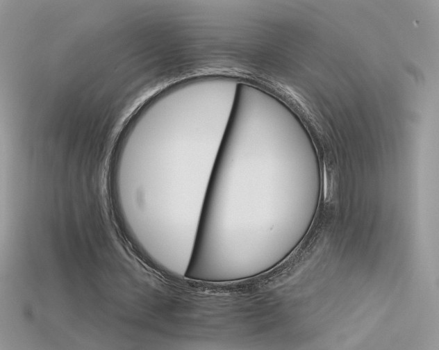 X0000115700531200911121406