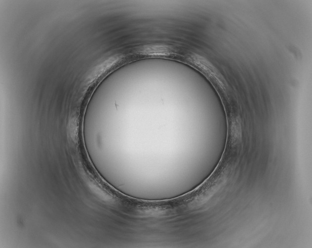 X0000115700533200911121406