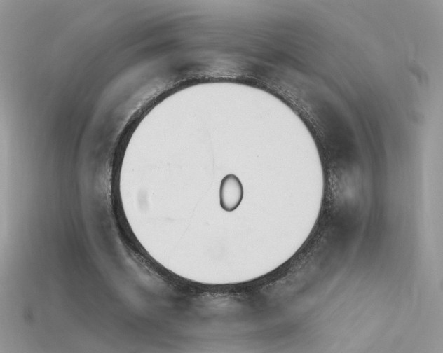 X0000115700534200911121406