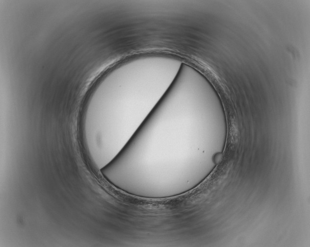 X0000115700535200911121406