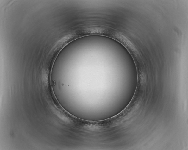 X0000115700537200911121406
