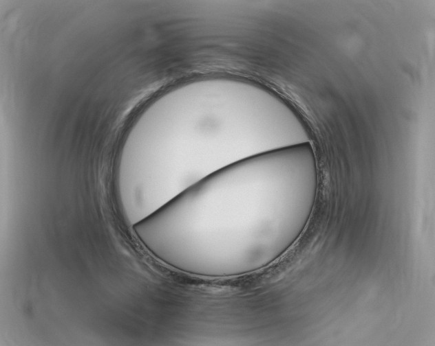X0000115700539200911121406