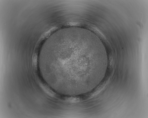 X0000115700542200911121406