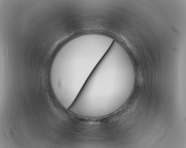 X0000115700543200911121406