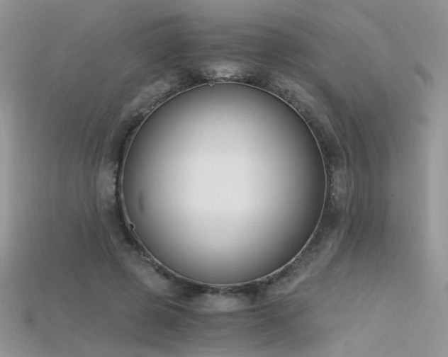 X0000115700545200911121406