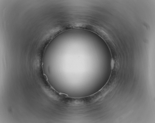 X0000115700546200911121406