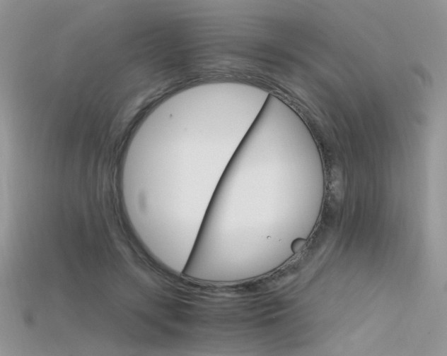 X0000115700547200911121406