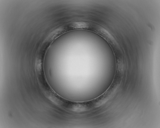 X0000115700549200911121407