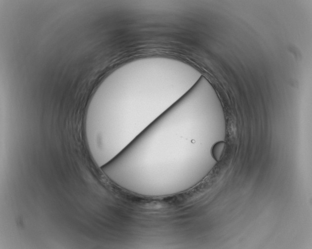X0000115700551200911121407