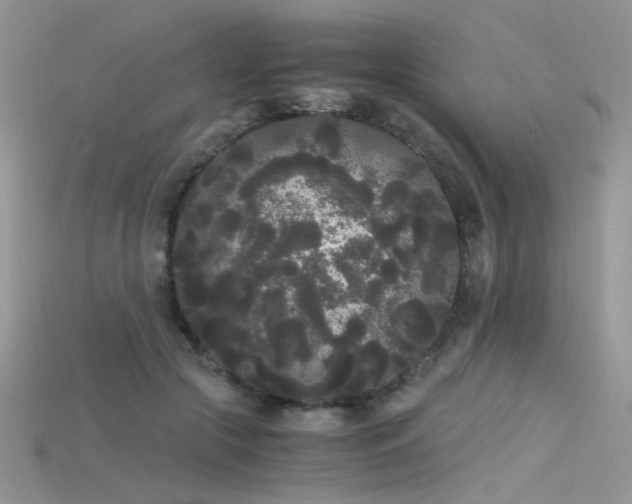 X0000115700553200911121407