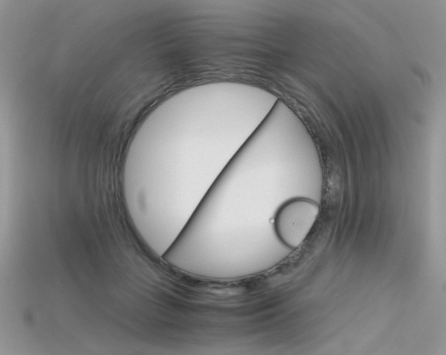 X0000115700555200911121407