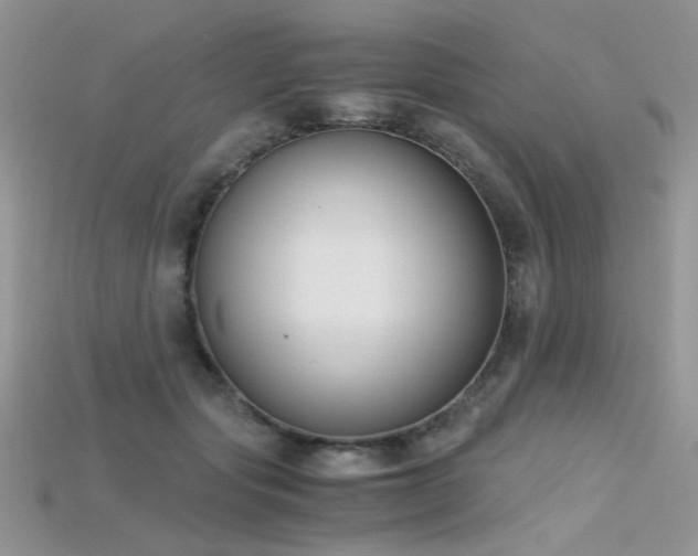 X0000115700557200911121407