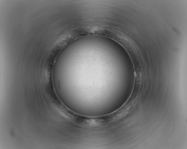 X0000115700558200911121407