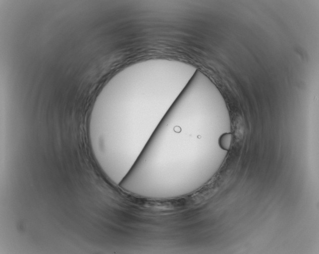 X0000115700559200911121407